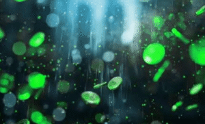 The Future of Digital Asset Services